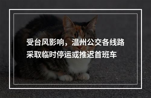 受台风影响，温州公交各线路采取临时停运或推迟首班车