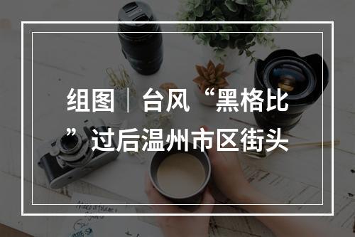 组图｜台风“黑格比”过后温州市区街头