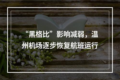 “黑格比”影响减弱，温州机场逐步恢复航班运行
