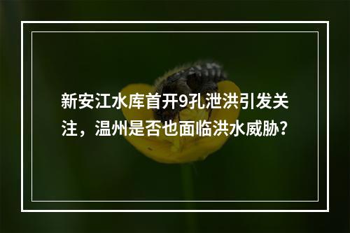 新安江水库首开9孔泄洪引发关注，温州是否也面临洪水威胁？