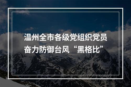 温州全市各级党组织党员奋力防御台风“黑格比”