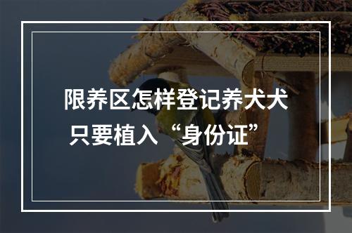 限养区怎样登记养犬犬 只要植入“身份证”