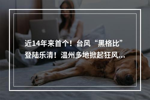 近14年来首个！台风“黑格比”登陆乐清！温州多地掀起狂风巨浪…