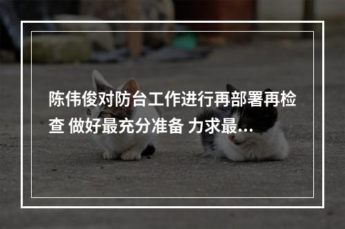 陈伟俊对防台工作进行再部署再检查 做好最充分准备 力求最圆满结果