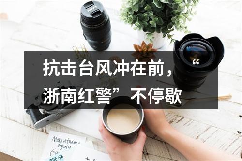 抗击台风冲在前，“浙南红警”不停歇