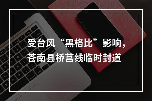 受台风“黑格比”影响，苍南县桥莒线临时封道