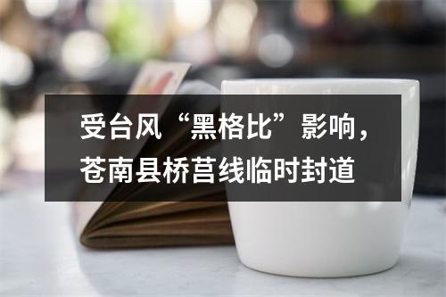 受台风“黑格比”影响，苍南县桥莒线临时封道