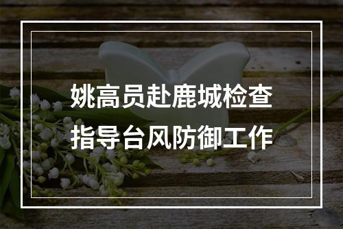 姚高员赴鹿城检查指导台风防御工作