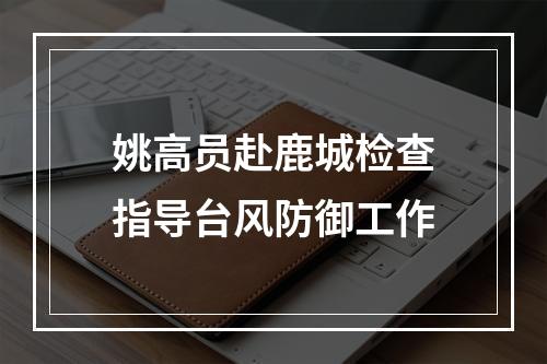 姚高员赴鹿城检查指导台风防御工作