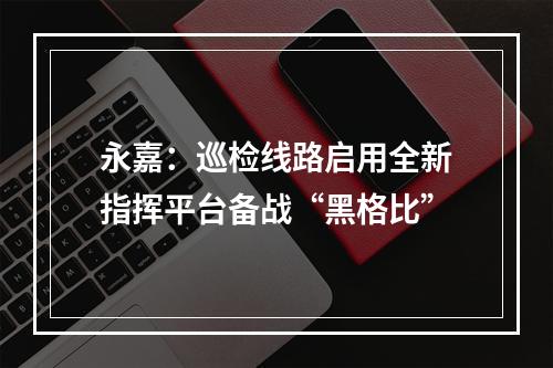 永嘉：巡检线路启用全新指挥平台备战“黑格比”