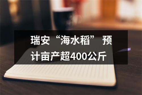瑞安“海水稻” 预计亩产超400公斤