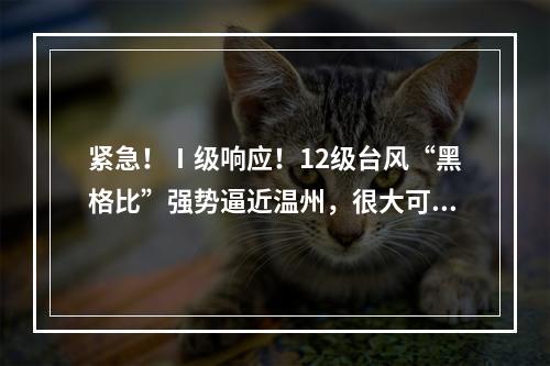 紧急！Ⅰ级响应！12级台风“黑格比”强势逼近温州，很大可能正面袭击温州