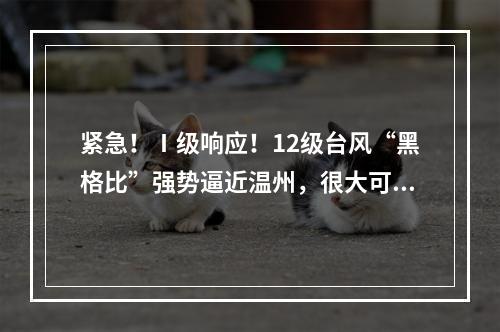 紧急！Ⅰ级响应！12级台风“黑格比”强势逼近温州，很大可能正面袭击温州