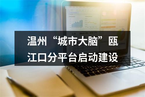 温州“城市大脑”瓯江口分平台启动建设