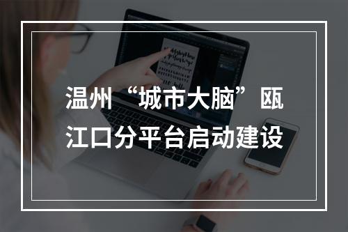 温州“城市大脑”瓯江口分平台启动建设