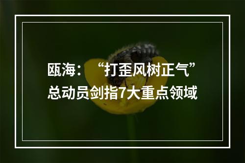 瓯海：“打歪风树正气”总动员剑指7大重点领域