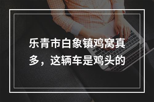 乐青市白象镇鸡窝真多，这辆车是鸡头的