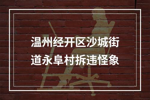 温州经开区沙城街道永阜村拆违怪象