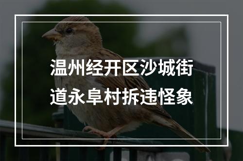 温州经开区沙城街道永阜村拆违怪象