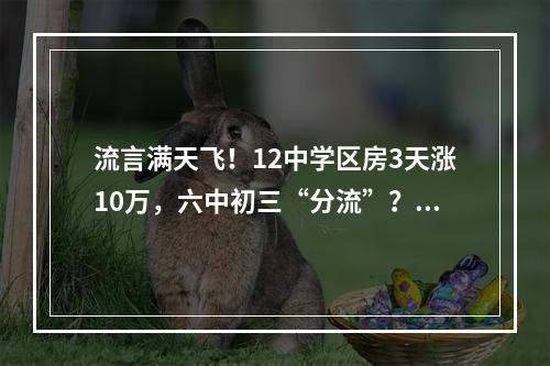 流言满天飞！12中学区房3天涨10万，六中初三“分流”？莫让教育含“金”量 ...