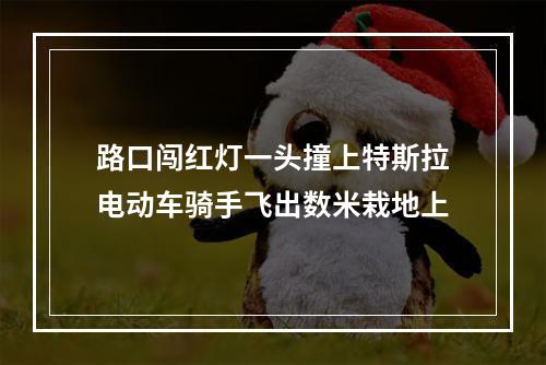 路口闯红灯一头撞上特斯拉电动车骑手飞出数米栽地上