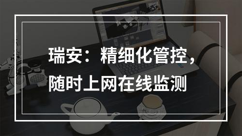 瑞安：精细化管控，随时上网在线监测