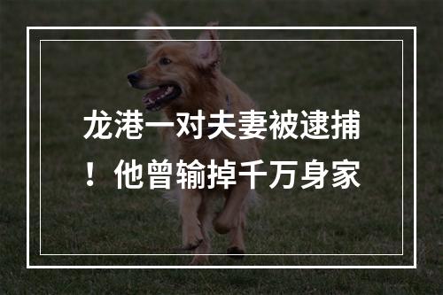 龙港一对夫妻被逮捕！他曾输掉千万身家