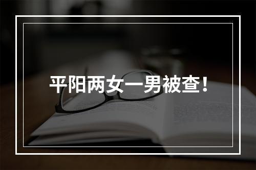 平阳两女一男被查！