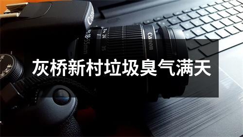 灰桥新村垃圾臭气满天