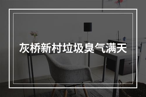 灰桥新村垃圾臭气满天