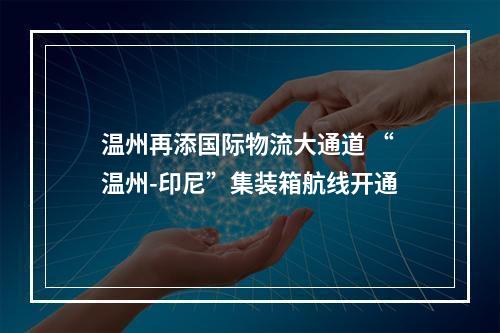 温州再添国际物流大通道 “温州-印尼”集装箱航线开通