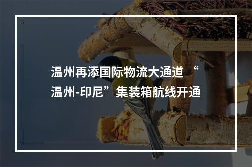 温州再添国际物流大通道 “温州-印尼”集装箱航线开通