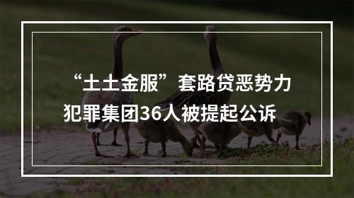 “土土金服”套路贷恶势力犯罪集团36人被提起公诉