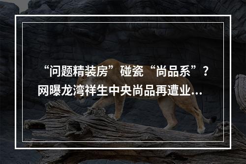 “问题精装房”碰瓷“尚品系”？网曝龙湾祥生中央尚品再遭业主维权！