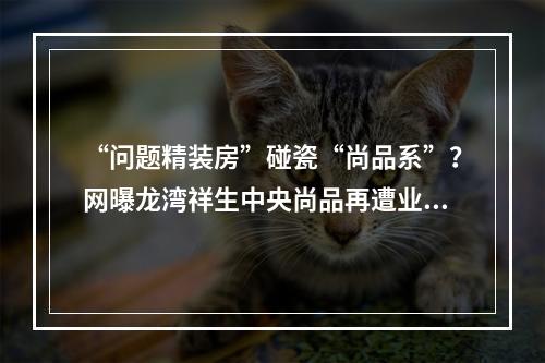 “问题精装房”碰瓷“尚品系”？网曝龙湾祥生中央尚品再遭业主维权！