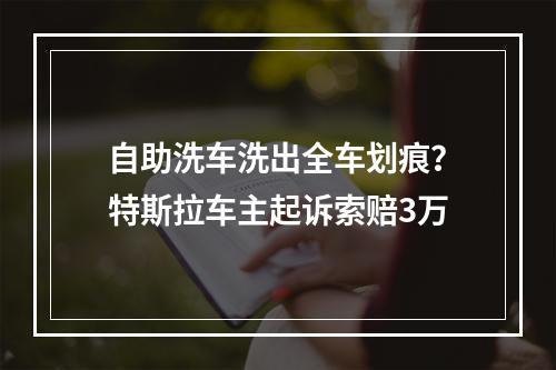 自助洗车洗出全车划痕？特斯拉车主起诉索赔3万