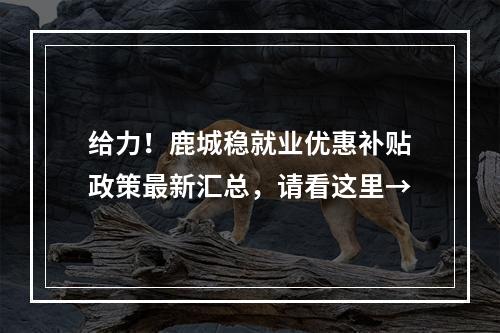 给力！鹿城稳就业优惠补贴政策最新汇总，请看这里→