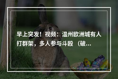 早上突发！视频：温州欧洲城有人打群架，多人参与斗殴 （破案了，破案了）