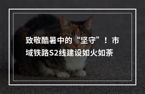 致敬酷暑中的“坚守”！市域铁路S2线建设如火如荼