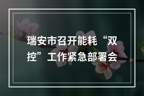 瑞安市召开能耗“双控”工作紧急部署会