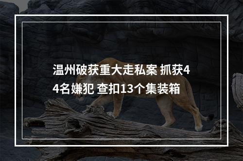 温州破获重大走私案 抓获44名嫌犯 查扣13个集装箱