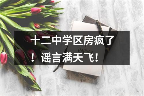 十二中学区房疯了！谣言满天飞！