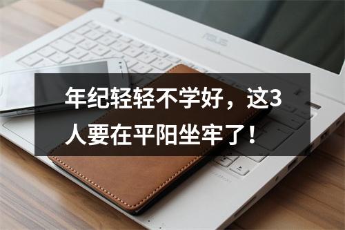 年纪轻轻不学好，这3人要在平阳坐牢了！