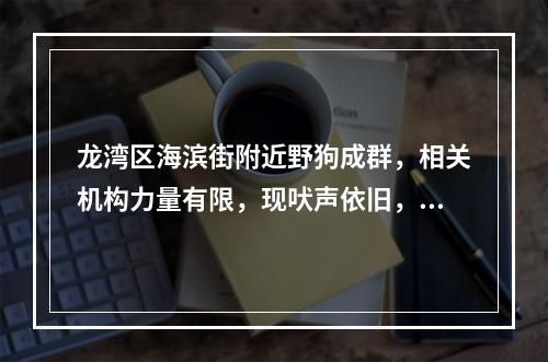 龙湾区海滨街附近野狗成群，相关机构力量有限，现吠声依旧，请来"领养"