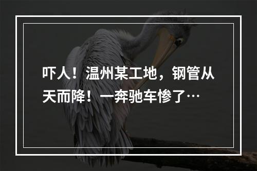 吓人！温州某工地，钢管从天而降！一奔驰车惨了…