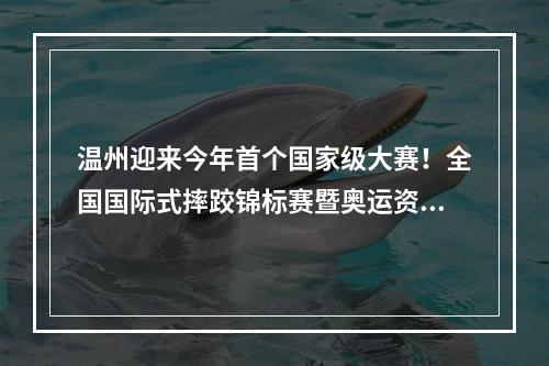 温州迎来今年首个国家级大赛！全国国际式摔跤锦标赛暨奥运资格选拔赛明起上 ...