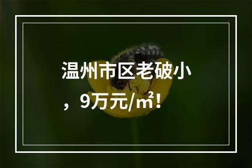 温州市区老破小，9万元/㎡！
