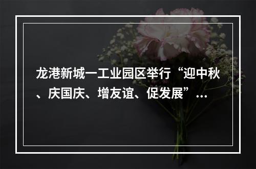 龙港新城一工业园区举行“迎中秋、庆国庆、增友谊、促发展”活动