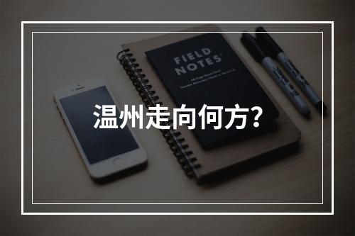 温州走向何方？