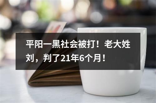平阳一黑社会被打！老大姓刘，判了21年6个月！